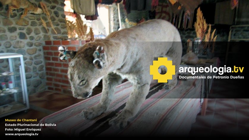 Museo de Chantani - Bolivia - www.arqueologia.tv