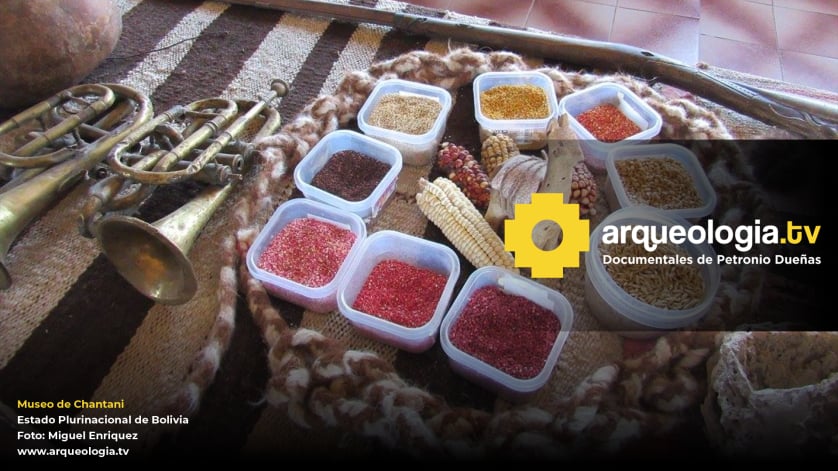 Museo de Chantani - Bolivia - www.arqueologia.tv