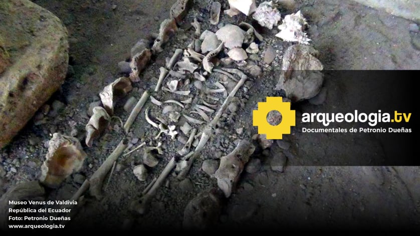 Museo Venus de Valdivia - Ecuador - www.arqueologia.tv